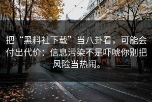 把“黑料社下载”当八卦看，可能会付出代价：信息污染不是吓唬你别把风险当热闹。