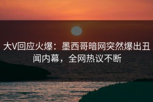 大V回应火爆：墨西哥暗网突然爆出丑闻内幕，全网热议不断