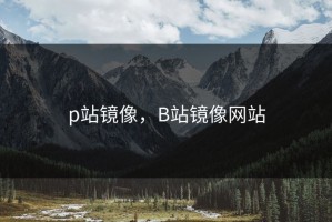 p站镜像，B站镜像网站