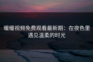 暖暖视频免费观看最新期：在夜色里遇见温柔的时光