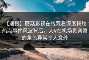 【速报】蘑菇影视在线观看深度揭秘：热点事件风波背后，大V在机场贵宾室的角色异常令人意外