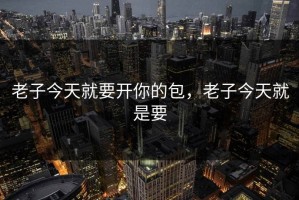 老子今天就要开你的包，老子今天就是要