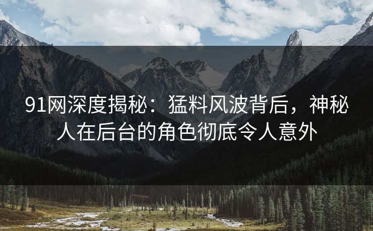 91网深度揭秘：猛料风波背后，神秘人在后台的角色彻底令人意外