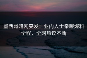 墨西哥暗网突发：业内人士亲曝爆料全程，全网热议不断