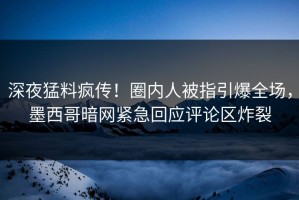 深夜猛料疯传！圈内人被指引爆全场，墨西哥暗网紧急回应评论区炸裂