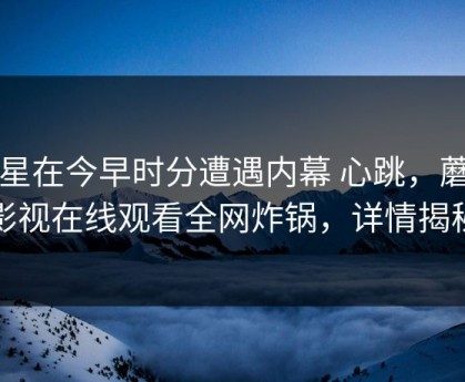 明星在今早时分遭遇内幕 心跳，蘑菇影视在线观看全网炸锅，详情揭秘