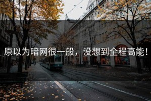 原以为暗网很一般，没想到全程高能！