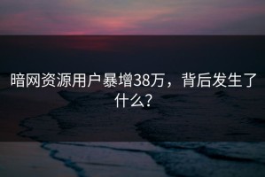 暗网资源用户暴增38万，背后发生了什么？