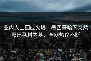 业内人士回应火爆：墨西哥暗网突然爆出猛料内幕，全网热议不断