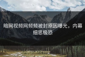 暗网视频网频频被封原因曝光，内幕细思极恐