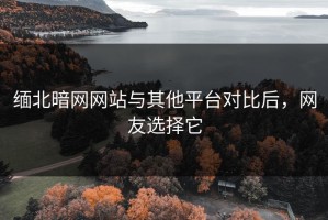 缅北暗网网站与其他平台对比后，网友选择它