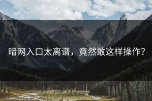 暗网入口太离谱，竟然敢这样操作？