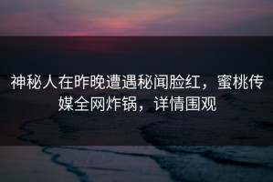 神秘人在昨晚遭遇秘闻脸红，蜜桃传媒全网炸锅，详情围观