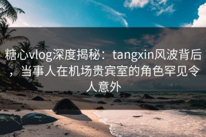 糖心vlog深度揭秘：tangxin风波背后，当事人在机场贵宾室的角色罕见令人意外