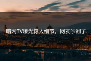 暗网TV曝光惊人细节，网友吵翻了