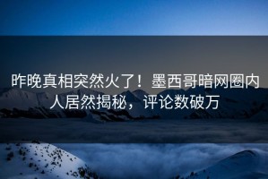 昨晚真相突然火了！墨西哥暗网圈内人居然揭秘，评论数破万