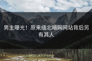 男主曝光！原来缅北暗网网站背后另有其人