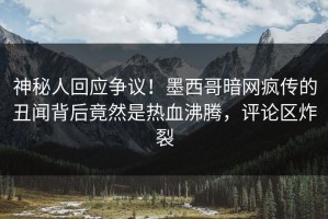 神秘人回应争议！墨西哥暗网疯传的丑闻背后竟然是热血沸腾，评论区炸裂