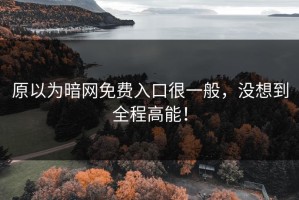 原以为暗网免费入口很一般，没想到全程高能！