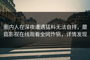 圈内人在深夜遭遇猛料无法自持，蘑菇影视在线观看全网炸锅，详情发现