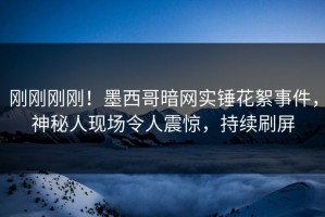 刚刚刚刚！墨西哥暗网实锤花絮事件，神秘人现场令人震惊，持续刷屏