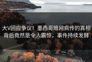 大V回应争议！墨西哥暗网疯传的真相背后竟然是令人震惊，事件持续发酵