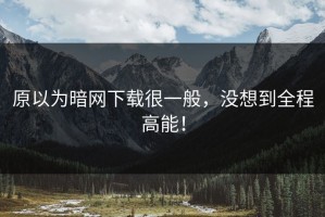 原以为暗网下载很一般，没想到全程高能！