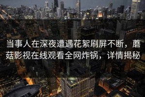 当事人在深夜遭遇花絮刷屏不断，蘑菇影视在线观看全网炸锅，详情揭秘