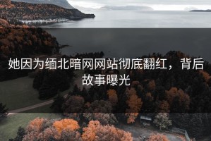 她因为缅北暗网网站彻底翻红，背后故事曝光