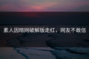 素人因暗网破解版走红，网友不敢信