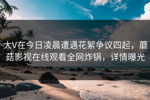 大V在今日凌晨遭遇花絮争议四起，蘑菇影视在线观看全网炸锅，详情曝光