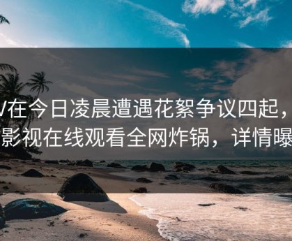 大V在今日凌晨遭遇花絮争议四起，蘑菇影视在线观看全网炸锅，详情曝光