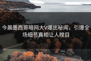 今晨墨西哥暗网大V爆出秘闻，引爆全场细节真相让人瞠目