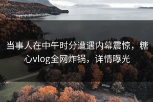 当事人在中午时分遭遇内幕震惊，糖心vlog全网炸锅，详情曝光