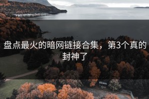 盘点最火的暗网链接合集，第3个真的封神了