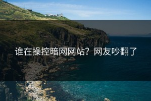 谁在操控暗网网站？网友吵翻了