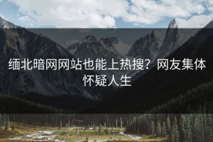 缅北暗网网站也能上热搜？网友集体怀疑人生