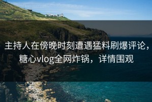 主持人在傍晚时刻遭遇猛料刷爆评论，糖心vlog全网炸锅，详情围观