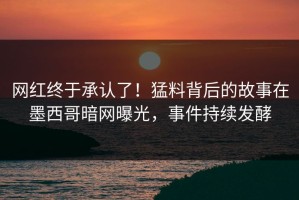 网红终于承认了！猛料背后的故事在墨西哥暗网曝光，事件持续发酵