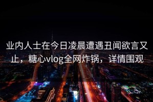 业内人士在今日凌晨遭遇丑闻欲言又止，糖心vlog全网炸锅，详情围观