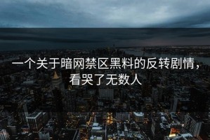 一个关于暗网禁区黑料的反转剧情，看哭了无数人