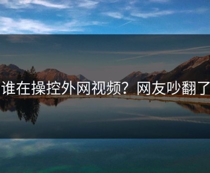 谁在操控外网视频？网友吵翻了