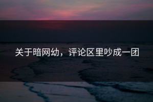 关于暗网幼，评论区里吵成一团