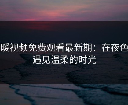 暖暖视频免费观看最新期：在夜色里遇见温柔的时光