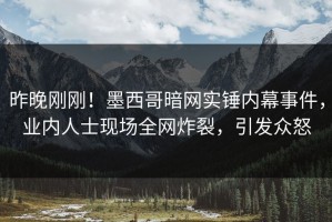 昨晚刚刚！墨西哥暗网实锤内幕事件，业内人士现场全网炸裂，引发众怒