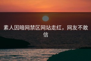素人因暗网禁区网站走红，网友不敢信