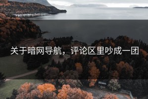 关于暗网导航，评论区里吵成一团
