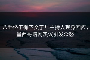 八卦终于有下文了！主持人现身回应，墨西哥暗网热议引发众怒
