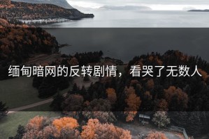 缅甸暗网的反转剧情，看哭了无数人