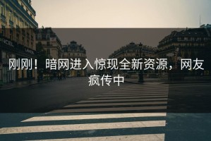 刚刚！暗网进入惊现全新资源，网友疯传中